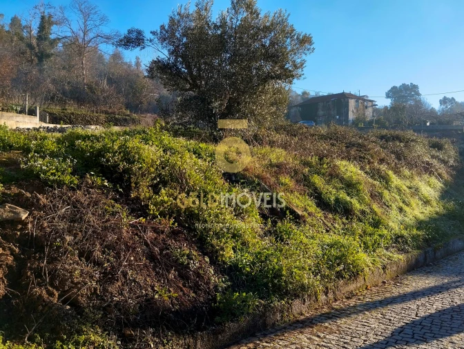Terreno para Venda em Fornelos Foto 4