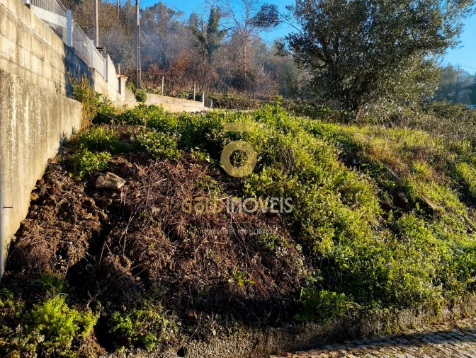 Terreno para Venda em Fornelos Foto 3