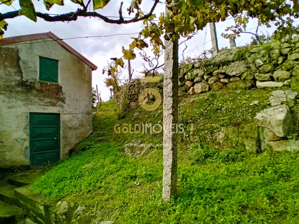 Terreno Agricola ou Rústico para Venda em Souselo Foto 3