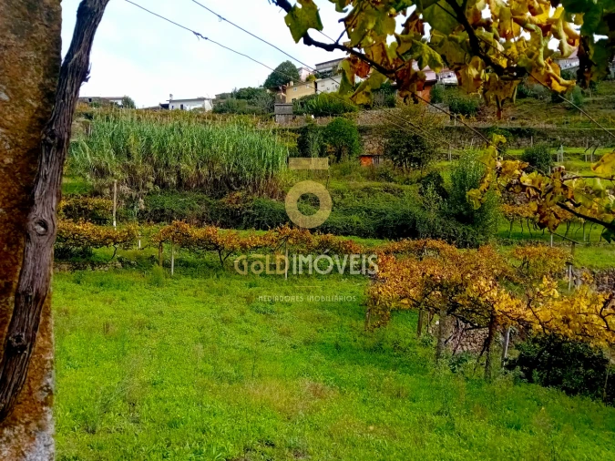 Terreno Agricola ou Rústico para Venda em Souselo