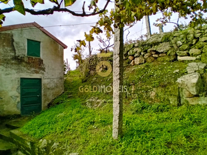 Terreno Agricola ou Rústico para Venda em Souselo Foto 3