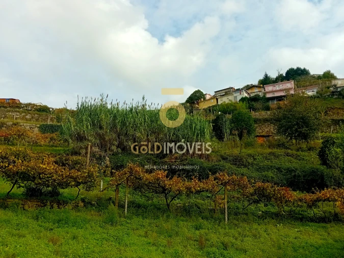 Terreno Agricola ou Rústico para Venda em Souselo Foto 6