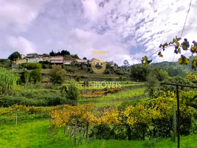 Terreno Agricola ou Rústico para Venda em Souselo Foto 2