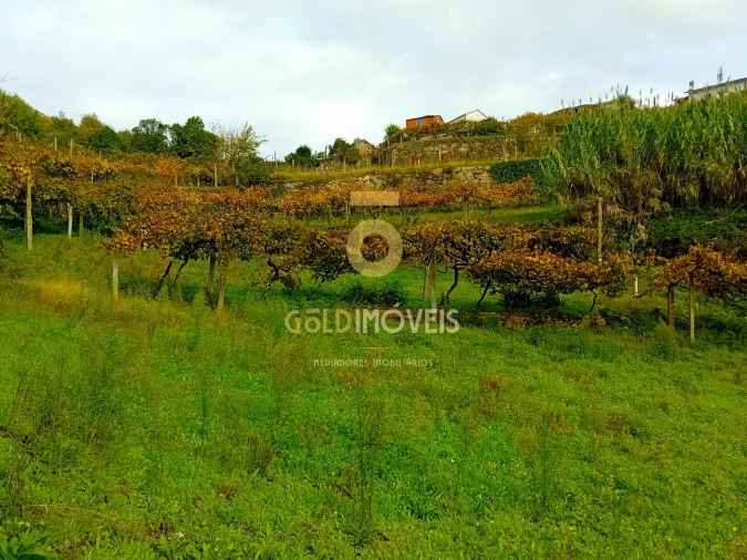 Terreno Agricola ou Rústico para Venda em Souselo Foto 7