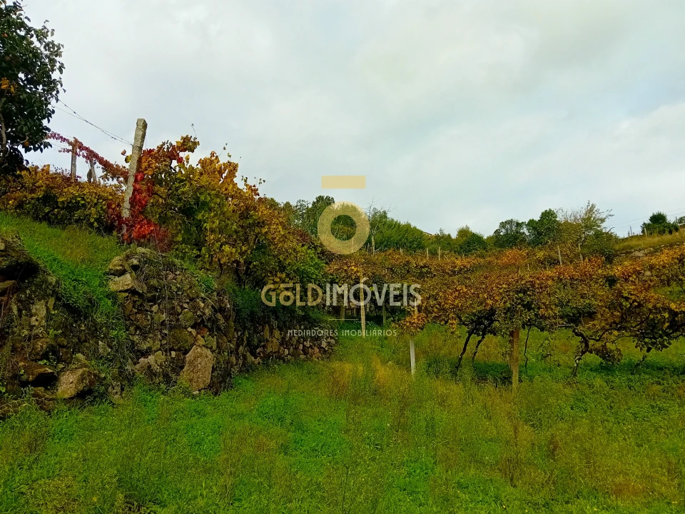Terreno Agricola ou Rústico para Venda em Souselo Foto 4