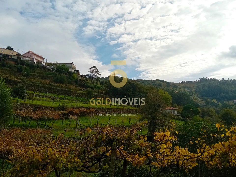 Terreno Agricola ou Rústico para Venda em Souselo Foto 5