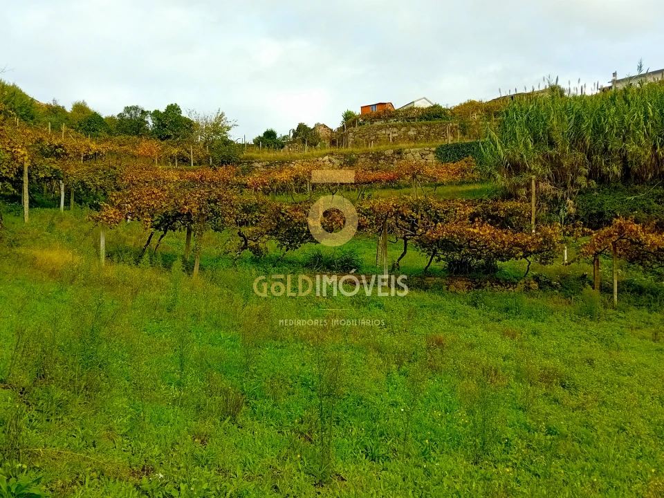 Terreno Agricola ou Rústico para Venda em Souselo Foto 7