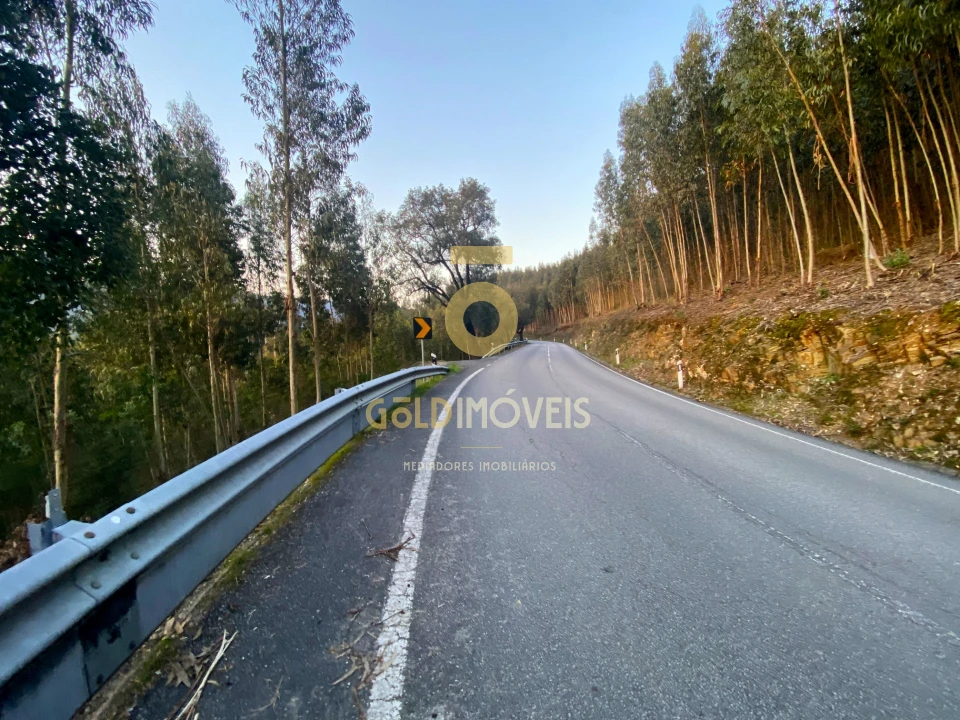 Terreno Agricola ou Rústico para Venda em Raiva, Pedorido e Paraíso Foto 1