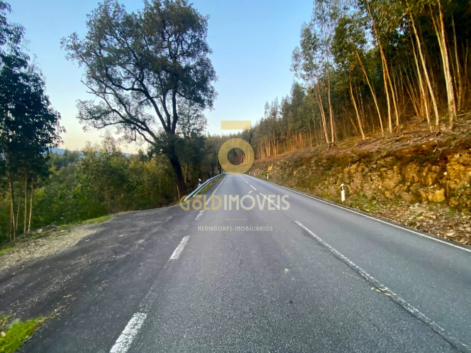 Terreno Agricola ou Rústico para Venda em Raiva, Pedorido e Paraíso Foto 2