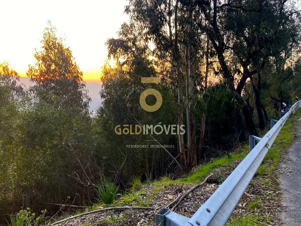 Terreno Agricola ou Rústico para Venda em Raiva, Pedorido e Paraíso Foto 6
