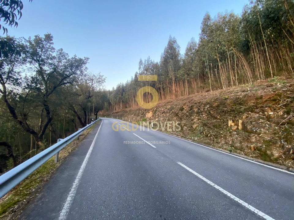 Terreno Agricola ou Rústico para Venda em Raiva, Pedorido e Paraíso Foto 3