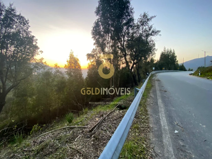 Terreno Agricola ou Rústico para Venda em Raiva, Pedorido e Paraíso Foto 7