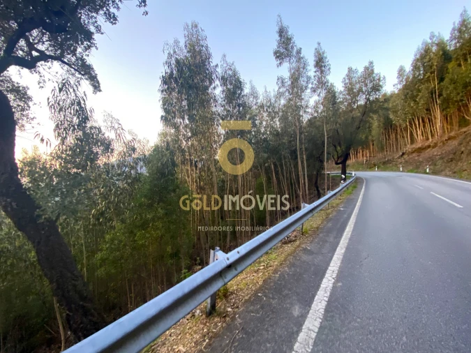 Terreno Agricola ou Rústico para Venda em Raiva, Pedorido e Paraíso Foto 4