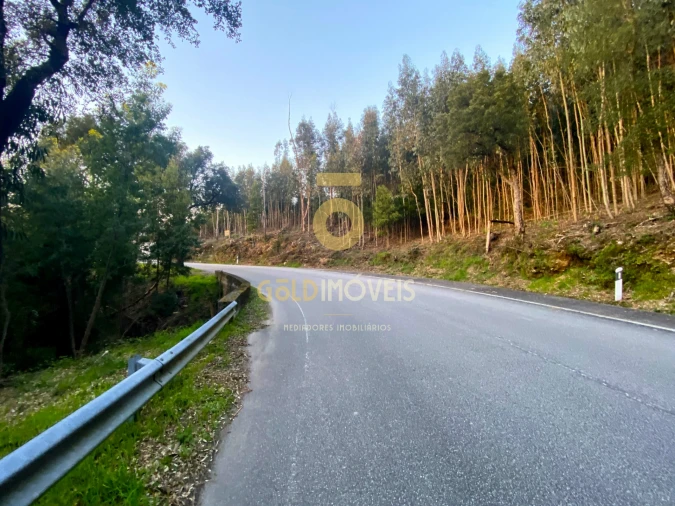Terreno Agricola ou Rústico para Venda em Raiva, Pedorido e Paraíso Foto 5