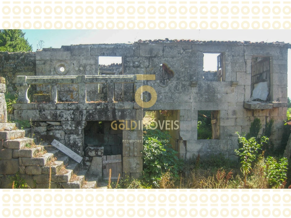 Quinta T0 para Venda em Boelhe Foto 2