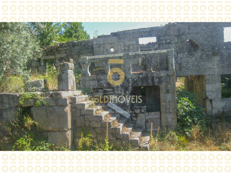 Quinta T0 para Venda em Boelhe Foto 3