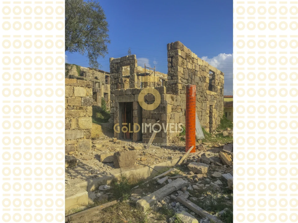 Quinta T0 para Venda em Boelhe Foto 6