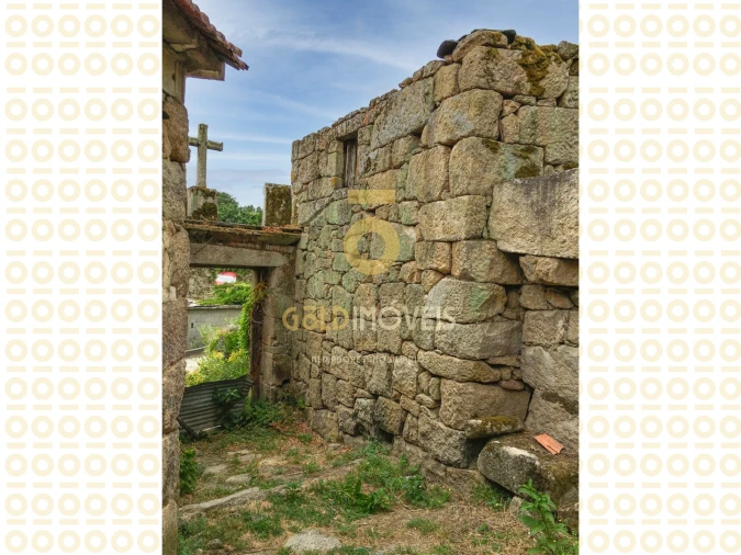 Quinta T0 para Venda em Boelhe Foto 7