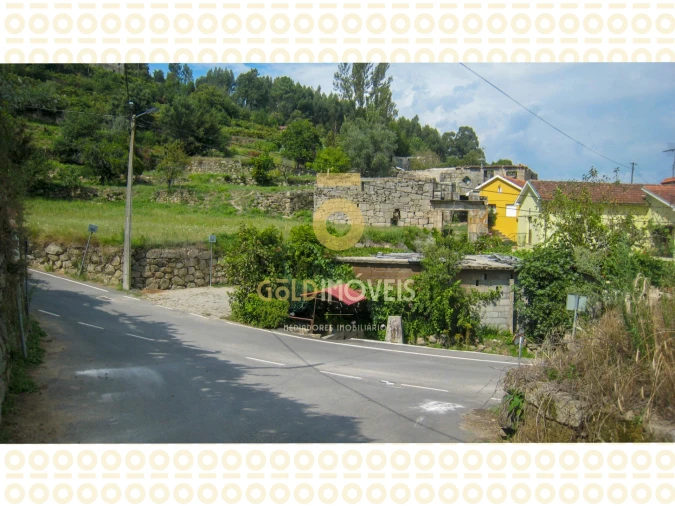 Quinta T0 para Venda em Boelhe Foto 14