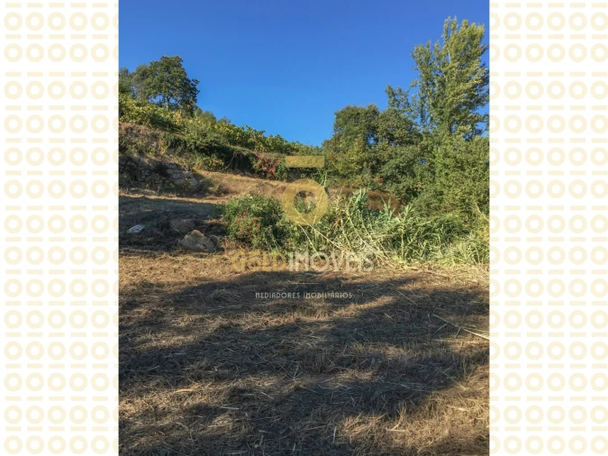 Quinta T0 para Venda em Boelhe Foto 17