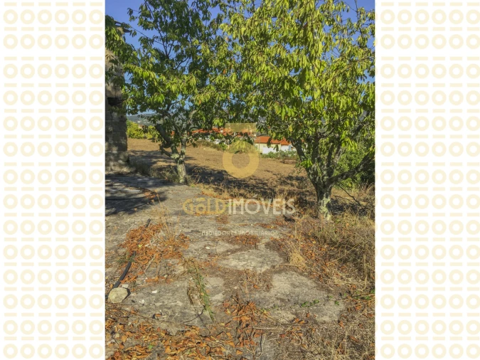 Quinta T0 para Venda em Boelhe Foto 16