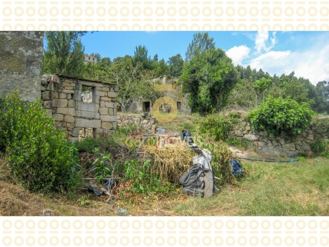 Quinta T0 para Venda em Boelhe Foto 15