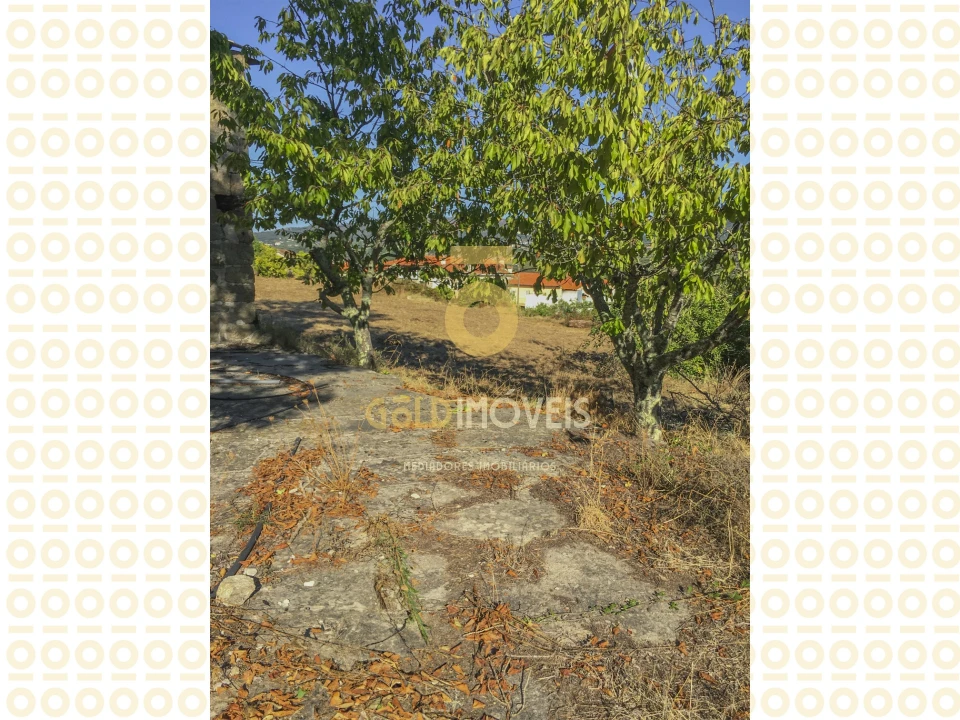 Quinta T0 para Venda em Boelhe Foto 16