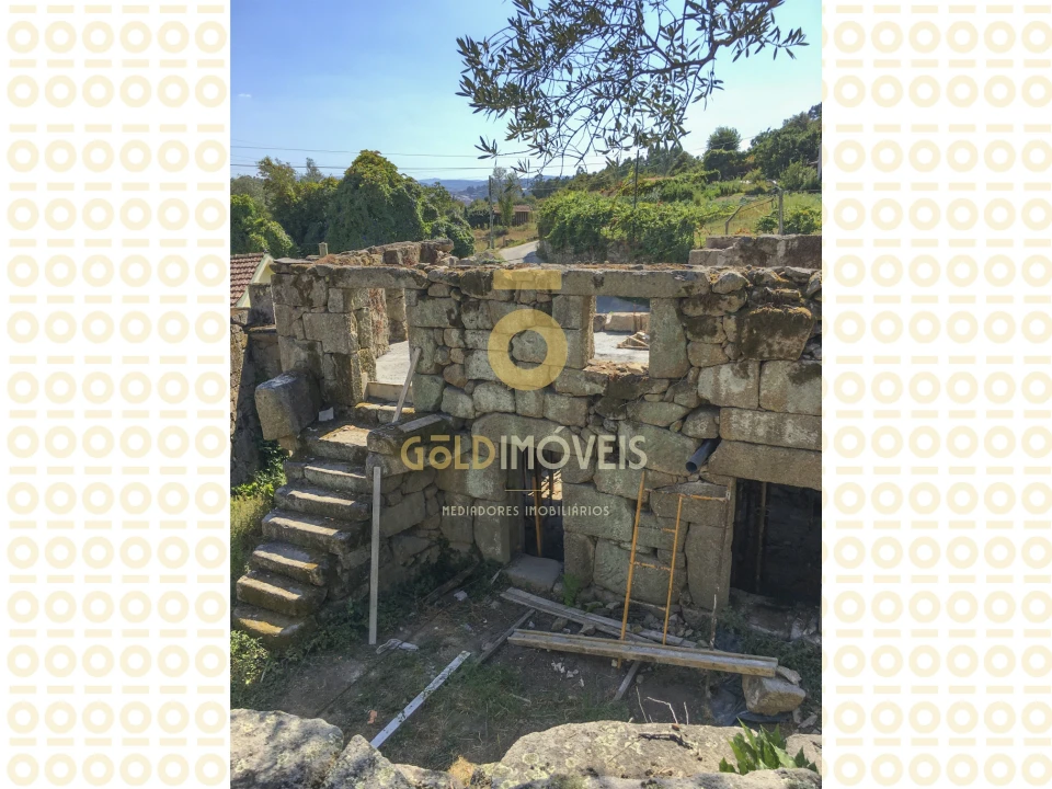 Quinta T0 para Venda em Boelhe Foto 10