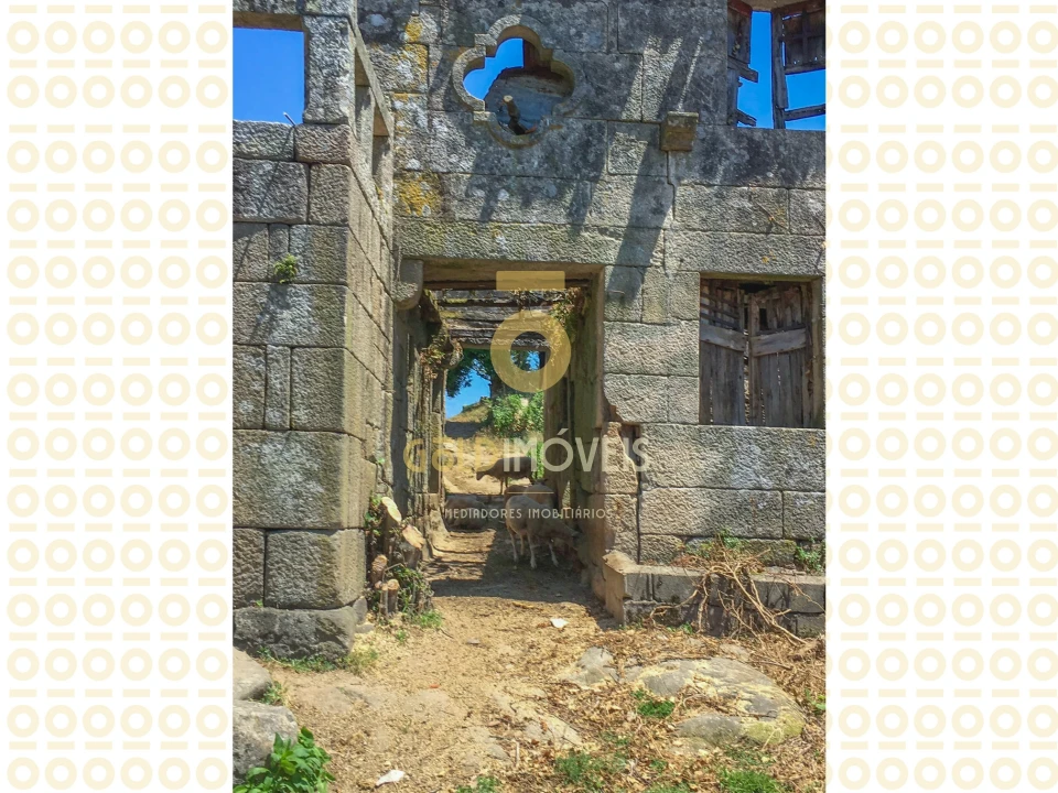 Quinta T0 para Venda em Boelhe Foto 9