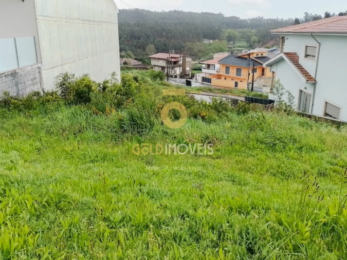 Terreno para Venda em Sanguedo Foto 2