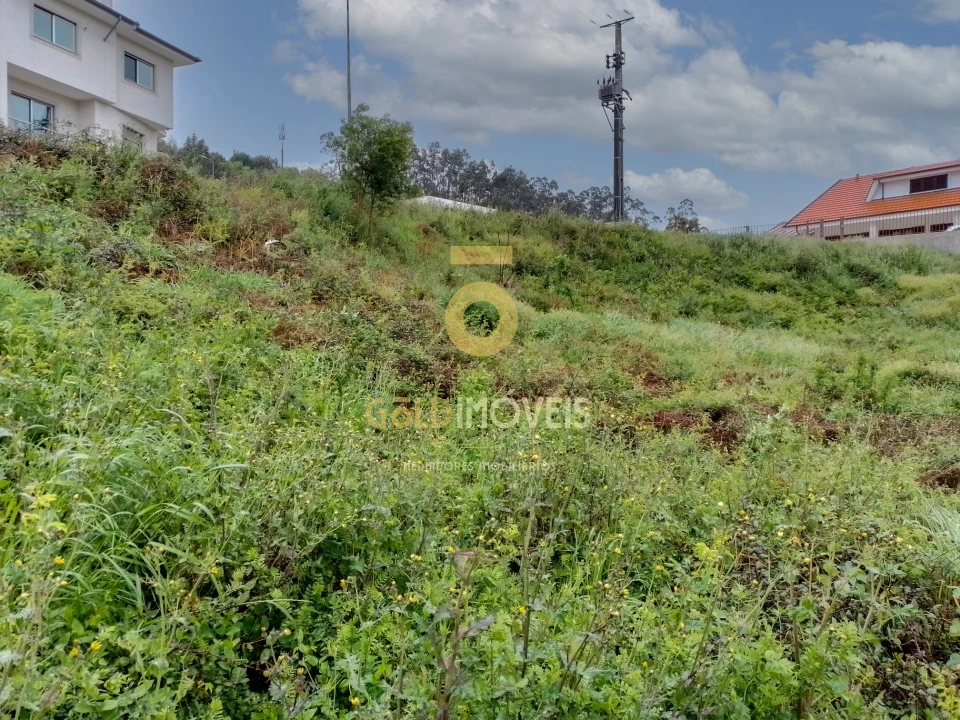 Terreno para Venda em Sanguedo Foto 3
