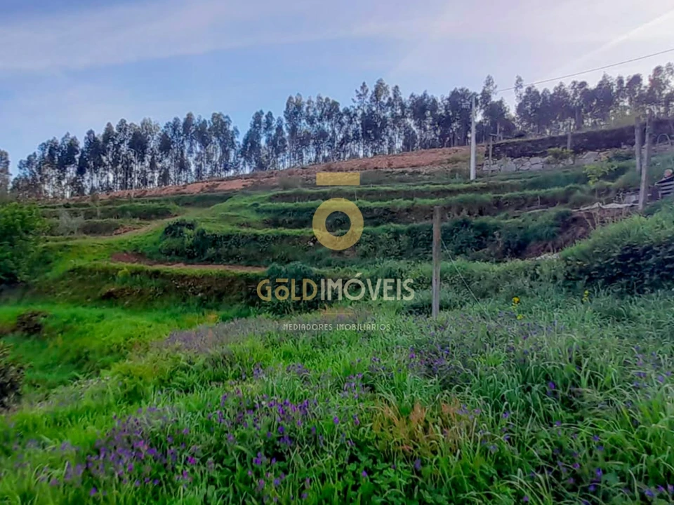 Terreno para Venda em Real Foto 3