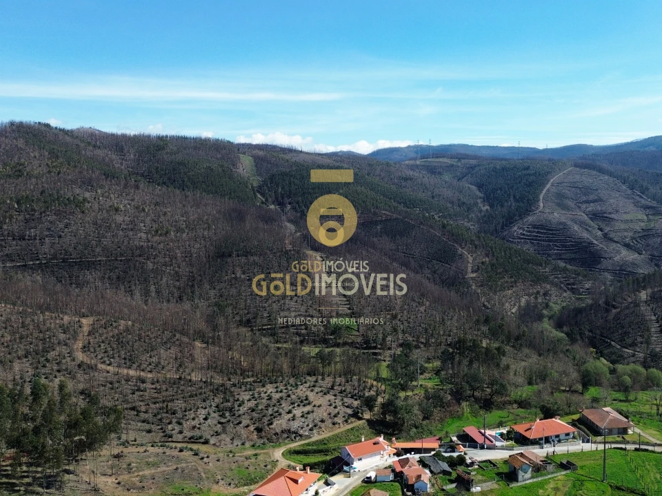 Terreno para Venda em Real Foto 9