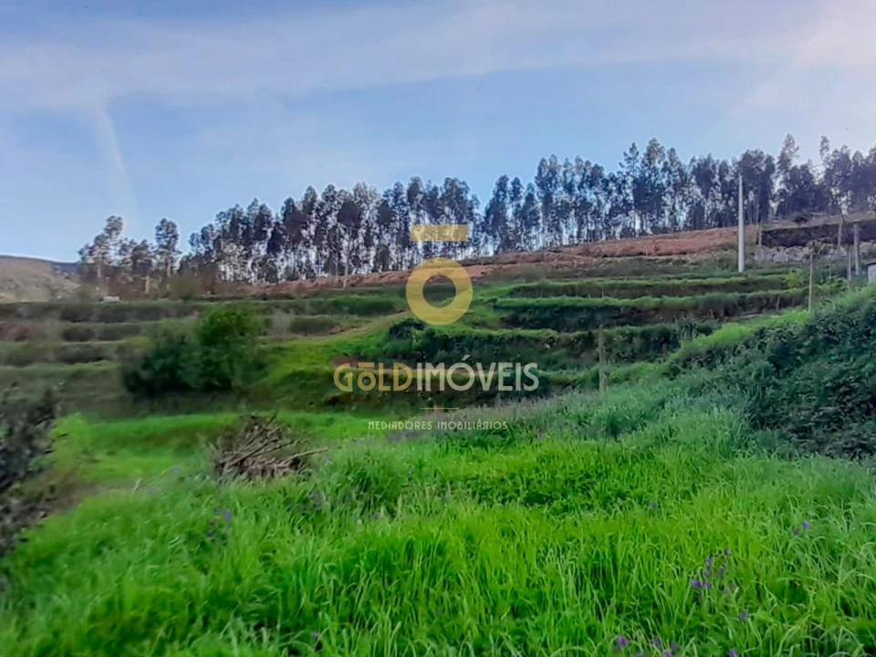 Terreno para Venda em Real Foto 4