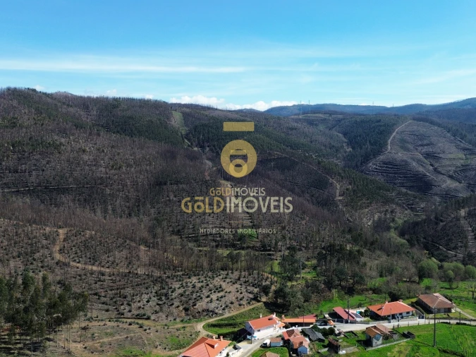 Terreno para Venda em Real Foto 9