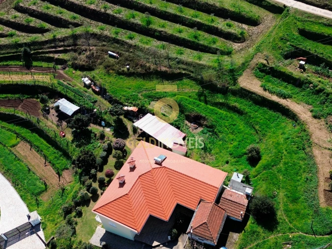 Terreno para Venda em Real Foto 3