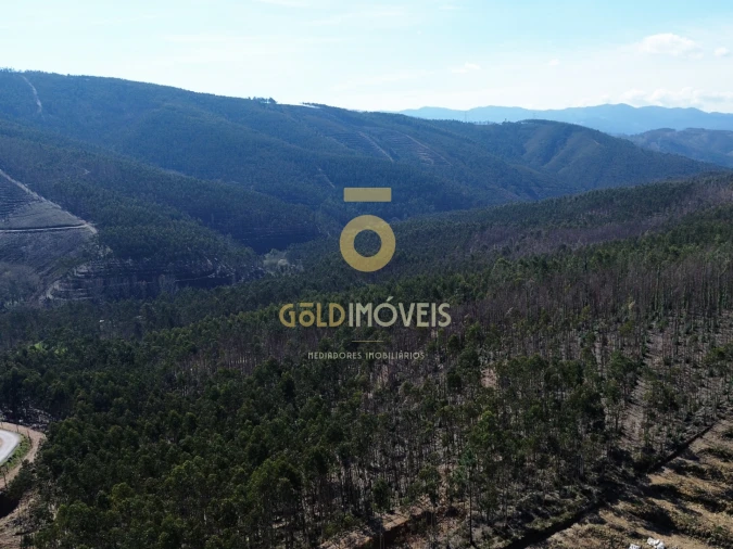 Terreno para Venda em Real Foto 12