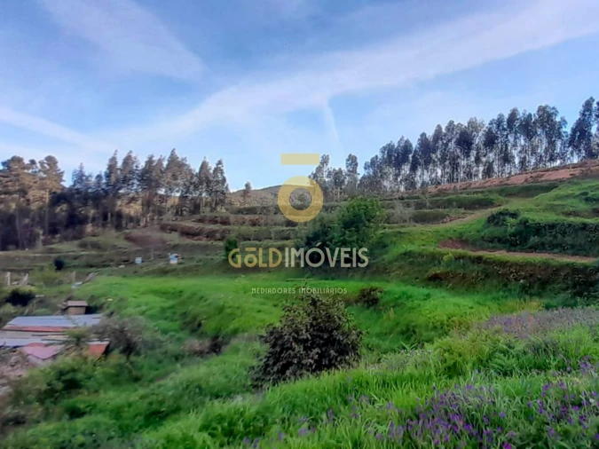 Terreno para Venda em Real Foto 2