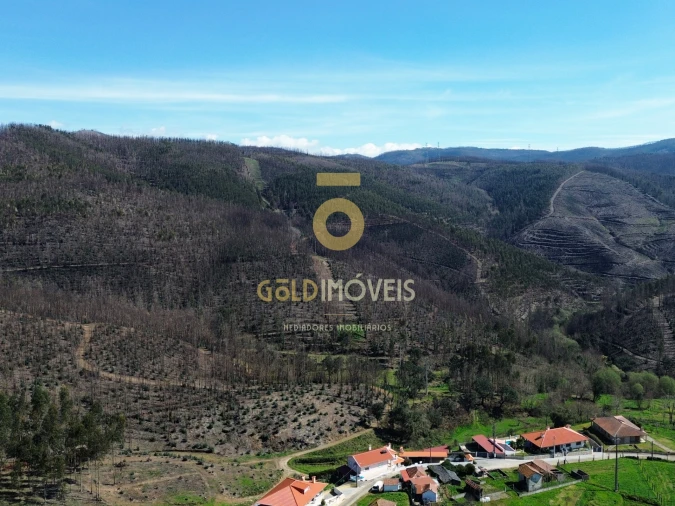 Terreno para Venda em Real Foto 9