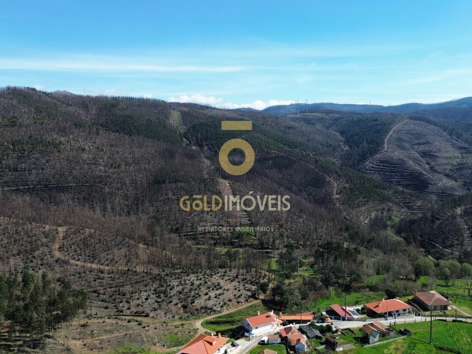 Terreno para Venda em Real Foto 9