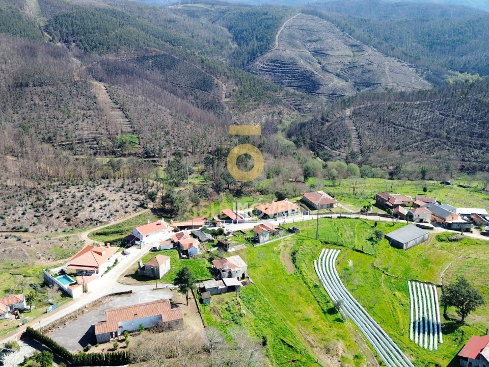 Terreno para Venda em Real Foto 8