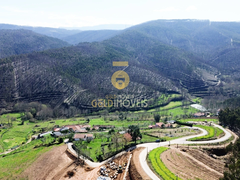 Terreno para Venda em Real Foto 11