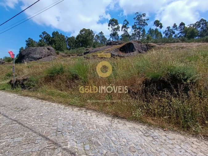 Terreno Agricola ou Rústico para Venda em Vila Boa de Quires e Maureles