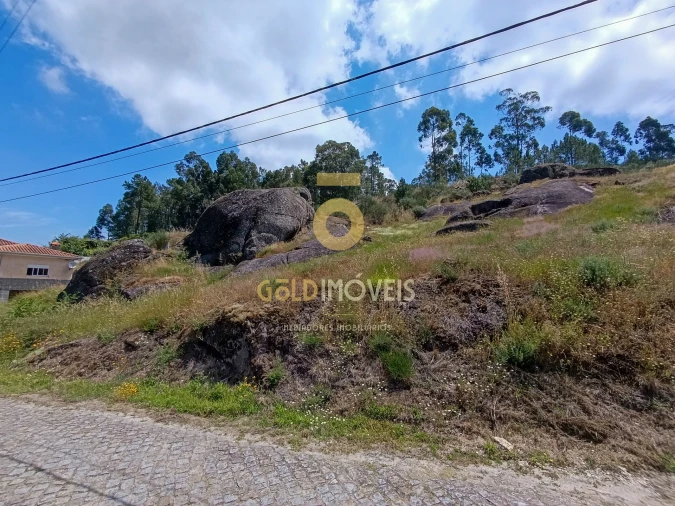 Terreno Agricola ou Rústico para Venda em Vila Boa de Quires e Maureles Foto 6