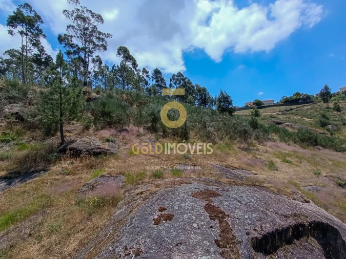 Terreno Agricola ou Rústico para Venda em Vila Boa de Quires e Maureles Foto 4