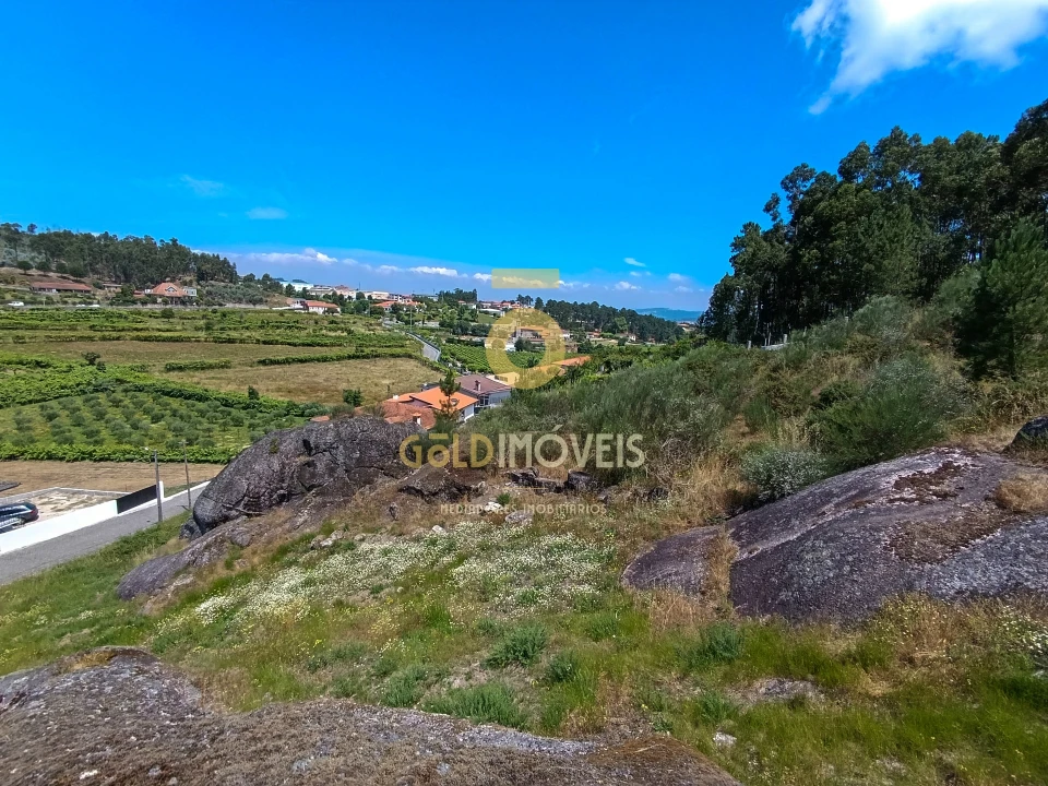 Terreno Agricola ou Rústico para Venda em Vila Boa de Quires e Maureles Foto 3