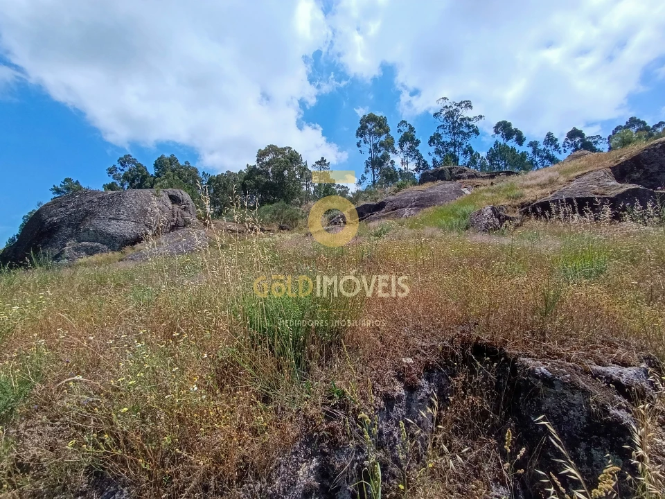 Terreno Agricola ou Rústico para Venda em Vila Boa de Quires e Maureles Foto 5