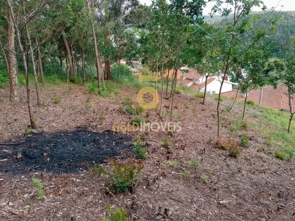 Terreno para Venda em Souselo Foto 6
