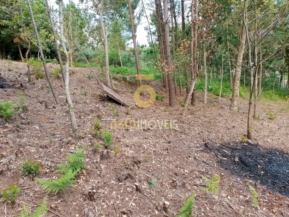 Terreno para Venda em Souselo Foto 9