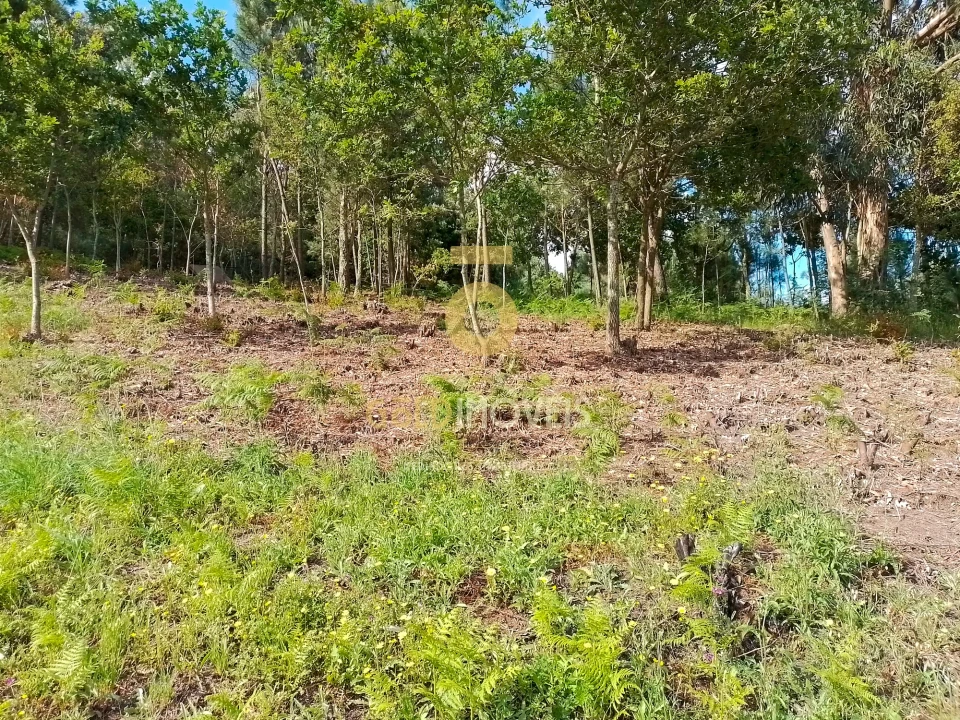 Terreno para Venda em Souselo Foto 11